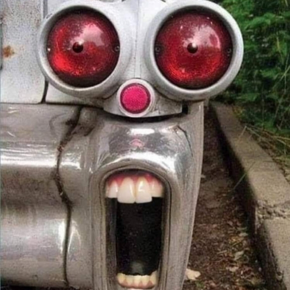 Meet your Posher, Patrick - Picture 4 of 9